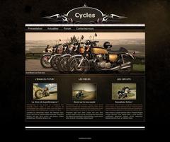 Cycles 1