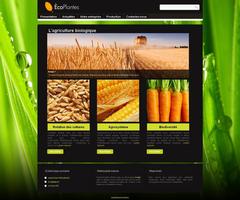 Éco Plantes 1